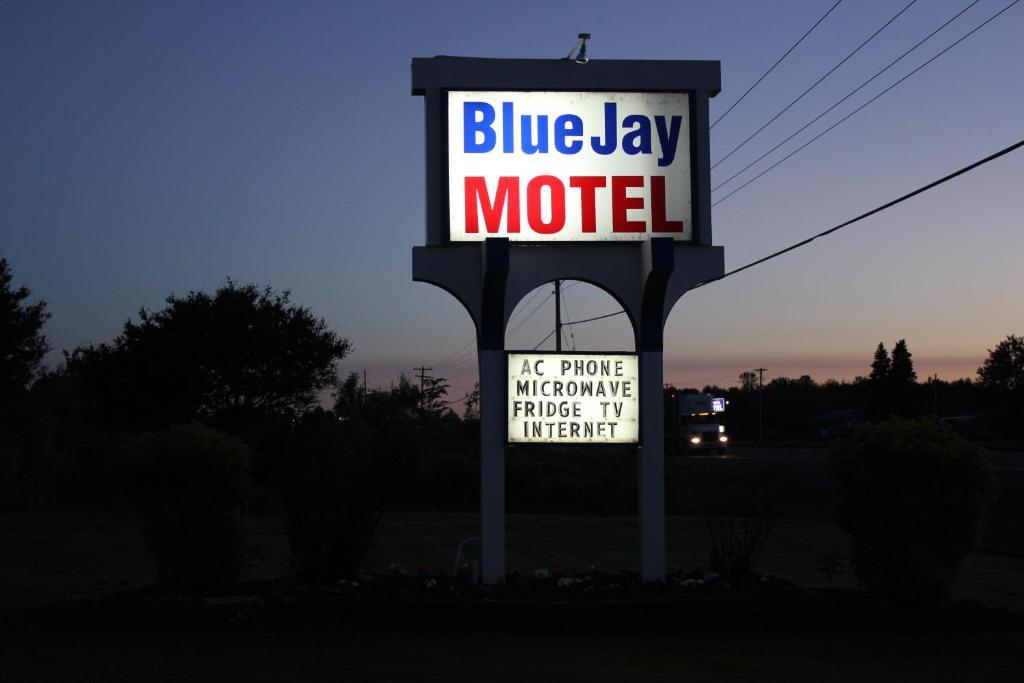 Blue Jay Peterborough